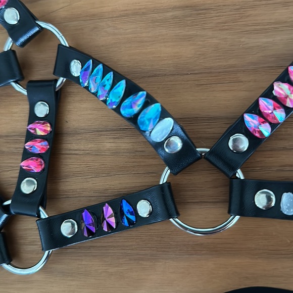 Rave harness - Picture 4 of 4